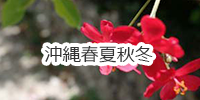 沖縄春夏秋冬