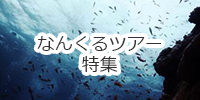 なんくるツアー特集